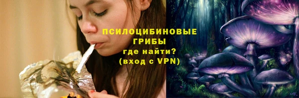 твердый Арсеньев