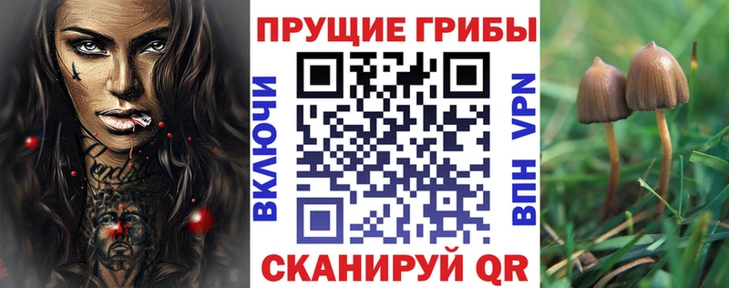 Галлюциногенные грибы GOLDEN TEACHER  Ува 